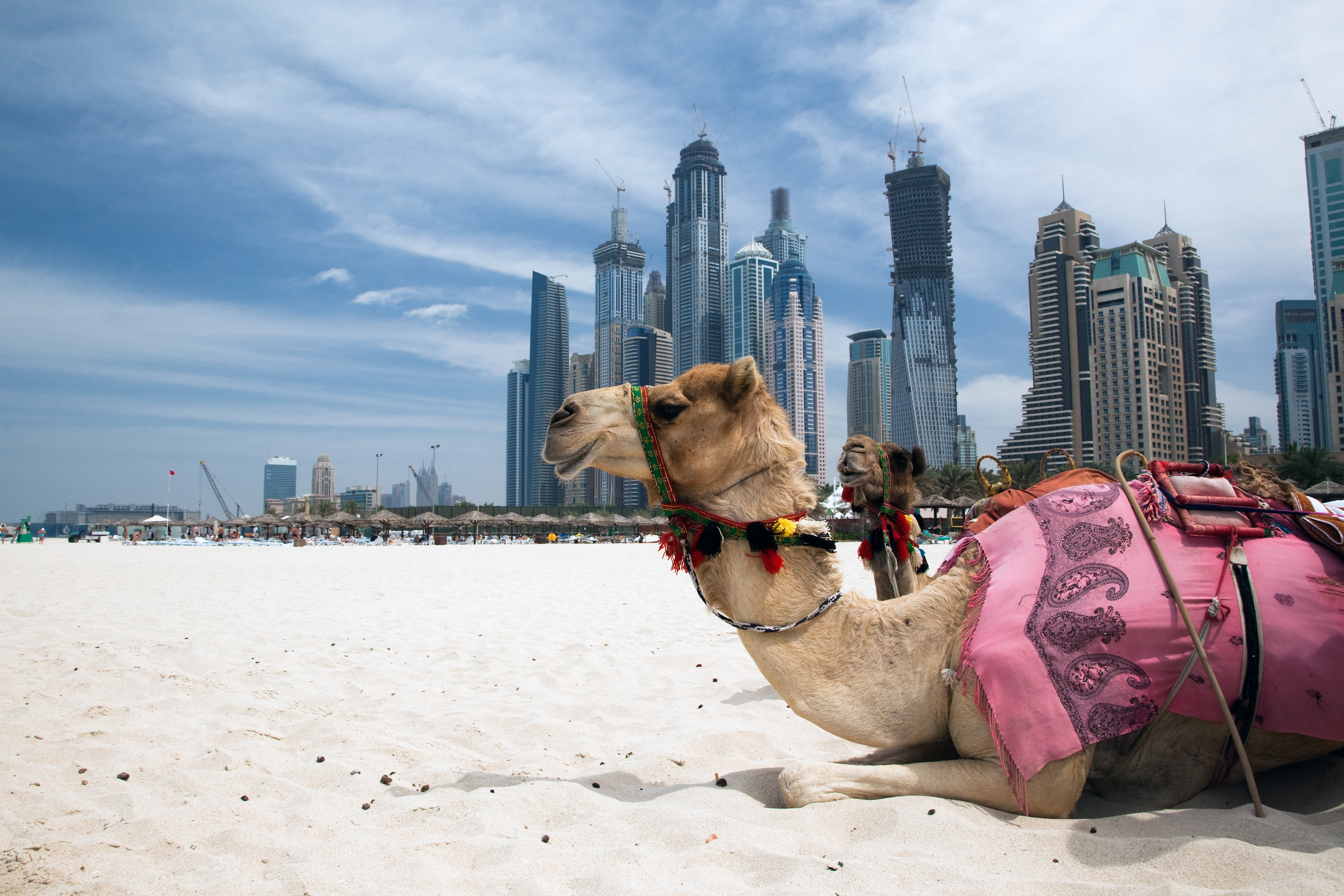 Middle East